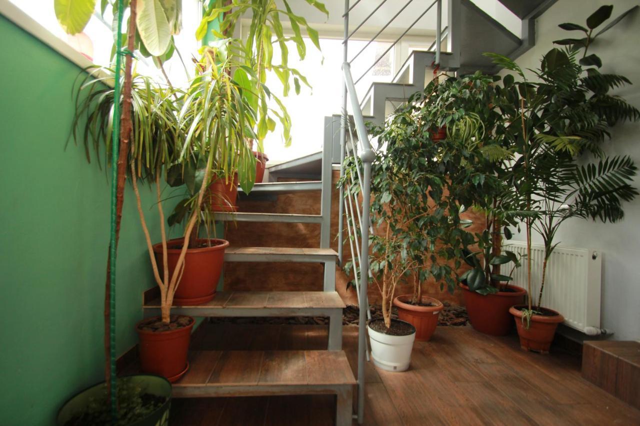Garden Eco Design Hotel Odessa Eksteriør bilde